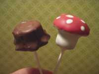 blephamide suspension