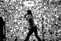 children s advil chewable tablets